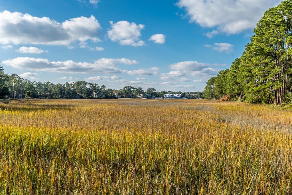 Villa Pet Friendly! 503 Plantation Club Walk To Pool Sleeps 6 Sea Pines Hilton Head Island Exterior foto