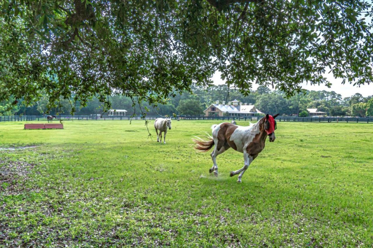 Villa Pet Friendly! 503 Plantation Club Walk To Pool Sleeps 6 Sea Pines Hilton Head Island Exterior foto